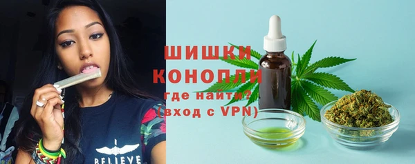 ECSTASY Горняк