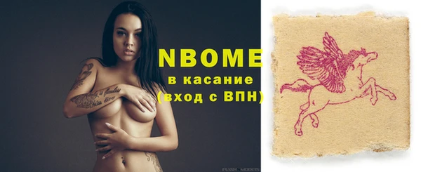 ECSTASY Горняк