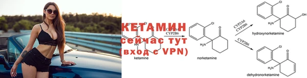 ПСИЛОЦИБИНОВЫЕ ГРИБЫ Горно-Алтайск