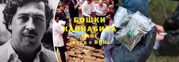 ПСИЛОЦИБИНОВЫЕ ГРИБЫ Горно-Алтайск