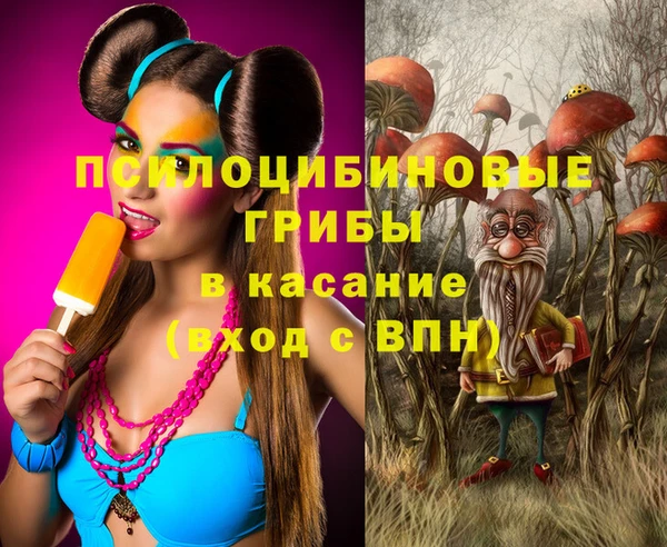 mdpv Гусиноозёрск