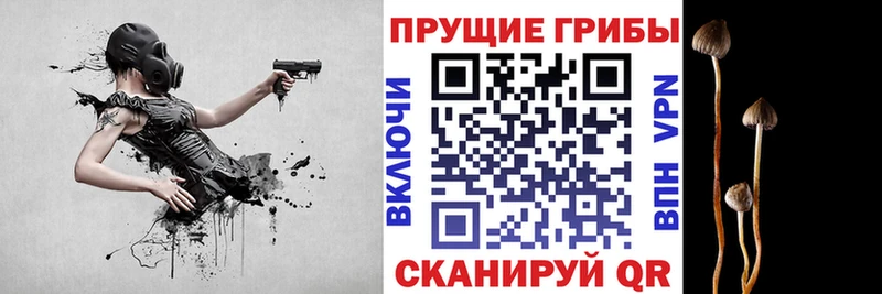 KRAKEN ссылки  Давлеканово  Псилоцибиновые грибы Magic Shrooms 